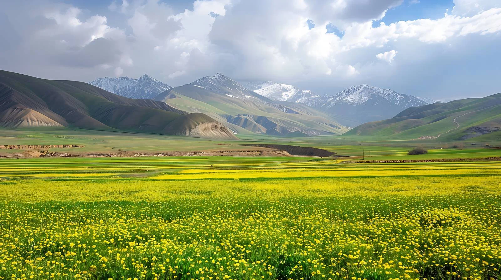 Qinghai Nianbaoyuze Scenic Area White Background — free download from Dotvec