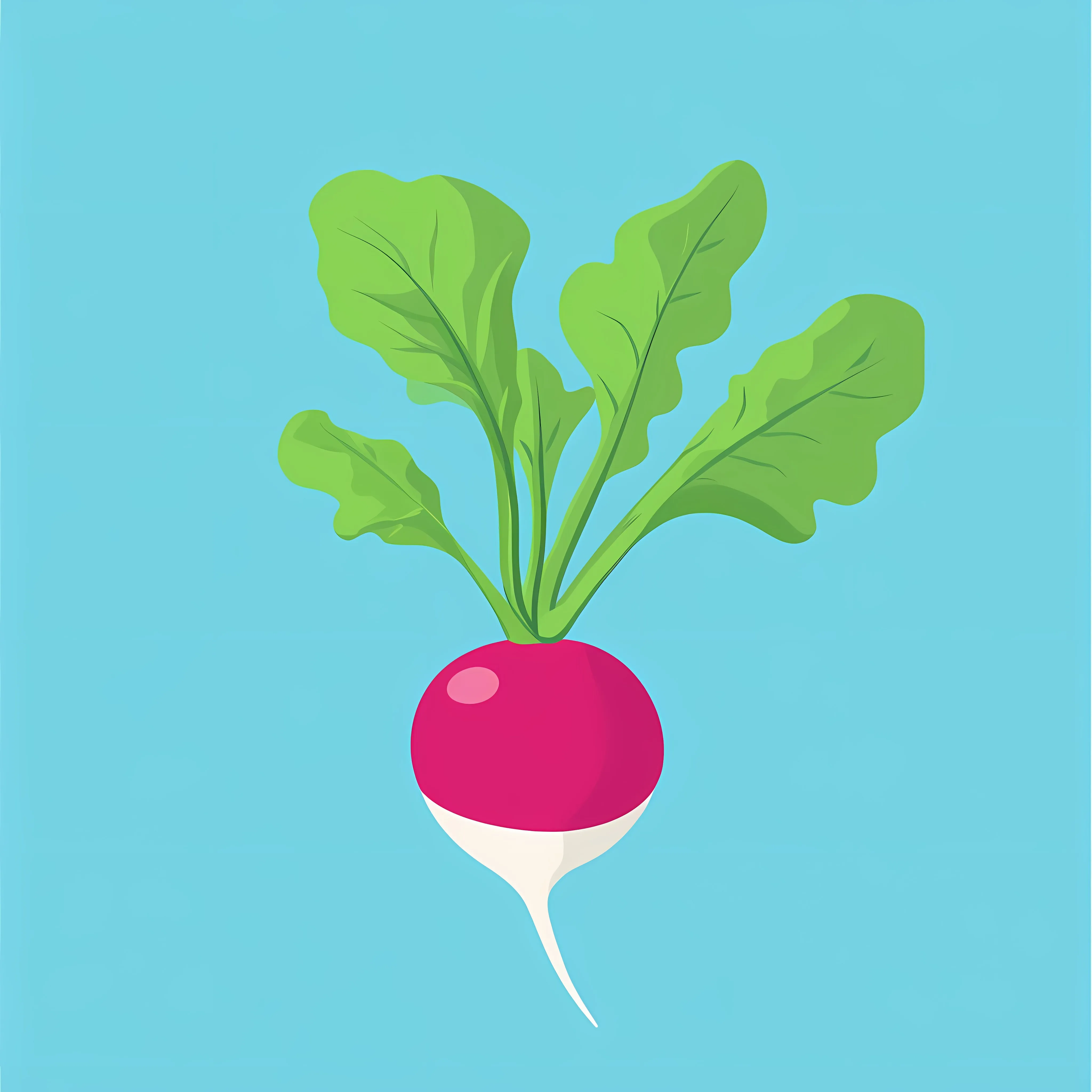 Flat Vector Illustration of Radish in Frame — free download from Dotvec