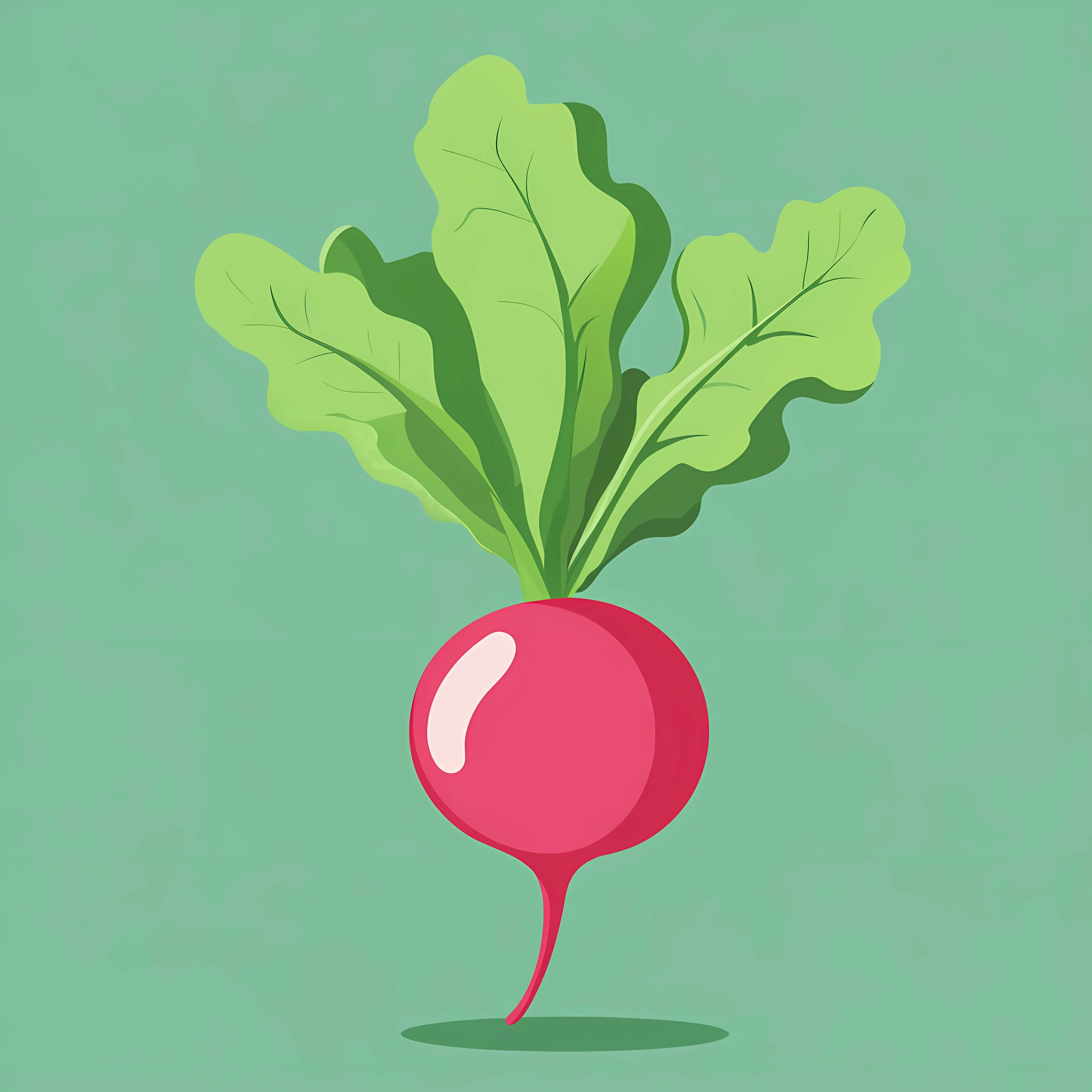 Minimalist Radish Flat Vector Illustration Frame – free recipe graphics image from Dotvec