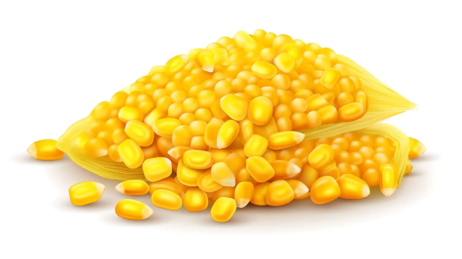 Realistic Yellow Maize Seeds — free download from Dotvec