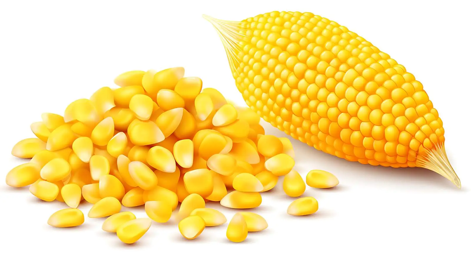Yellow Maize Seeds Isolated on White — free download from Dotvec