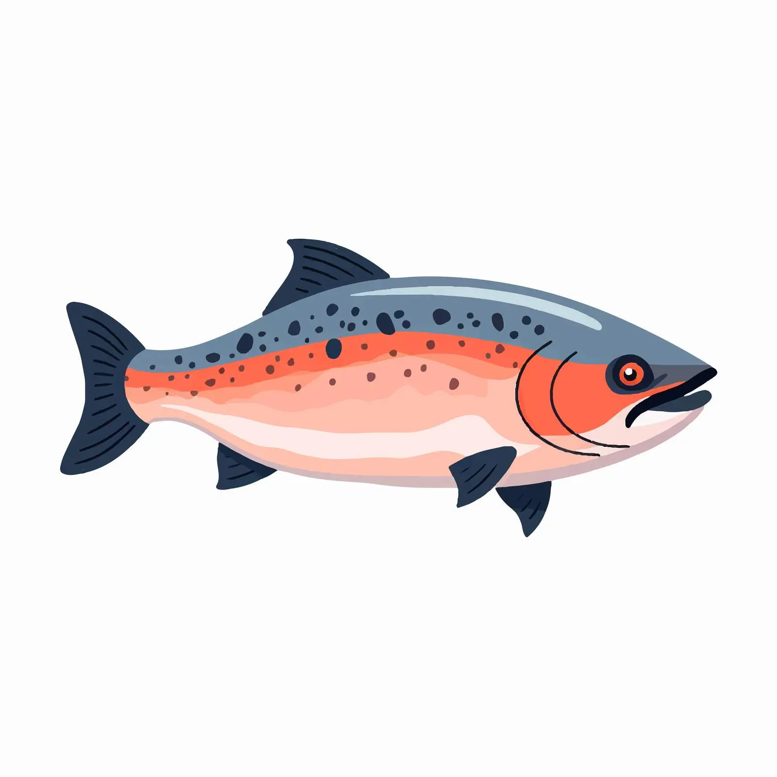 Whole Tuna Side View Illustration – free fresh fish image from Dotvec