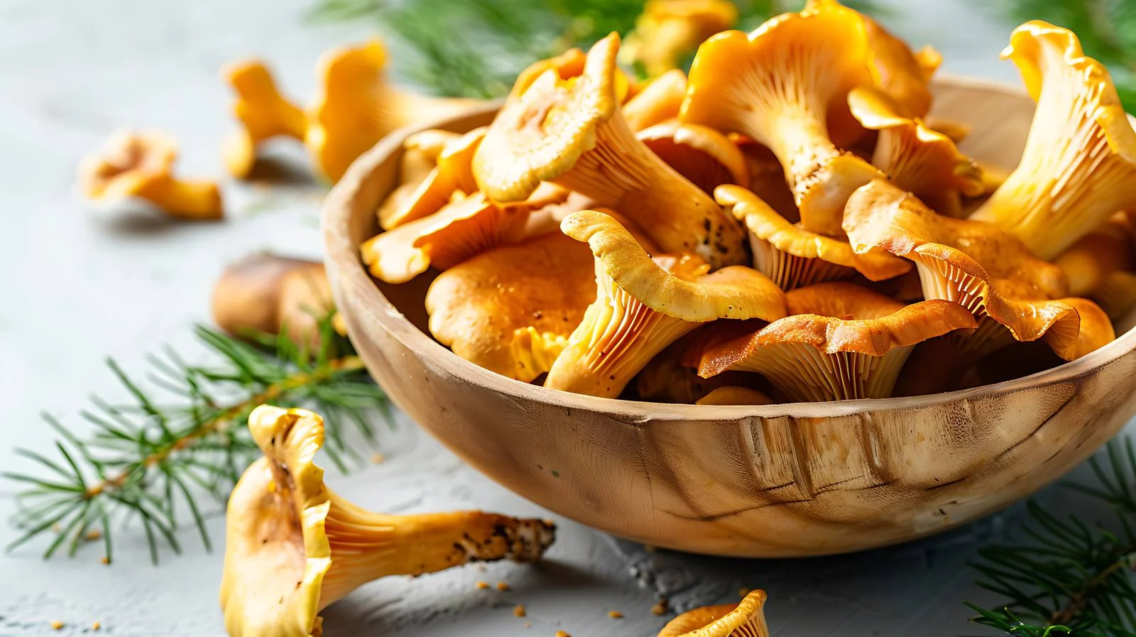 Vibrant chanterelles on rustic background — free download from Dotvec