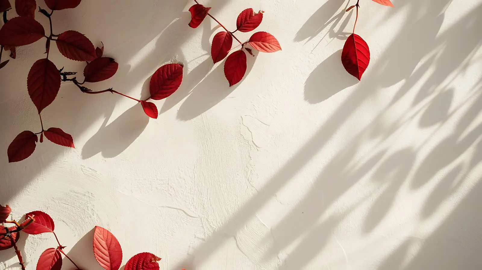 Autumn Leaves and Sunlight Shadows on Wall — free download from Dotvec