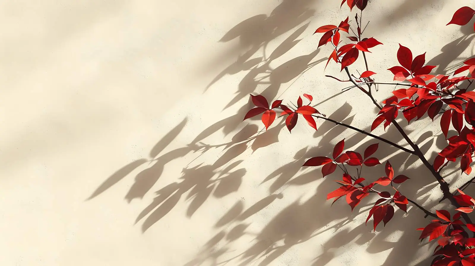 Autumn Leaves and Sunlight on Beige Wall — free download from Dotvec