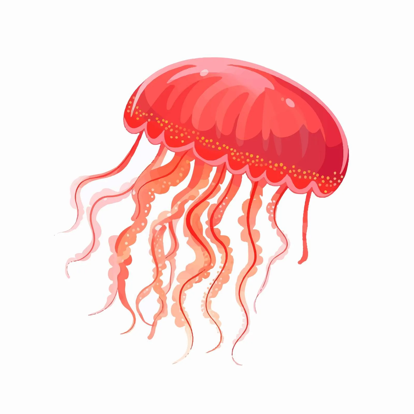 Bright Red Medusa Jellyfish on White Background – free vector marine life image from Dotvec