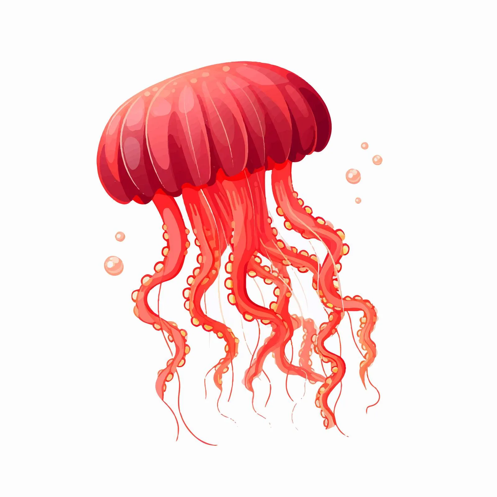 Vibrant Red Medusa Jellyfish on White Background — free download from Dotvec