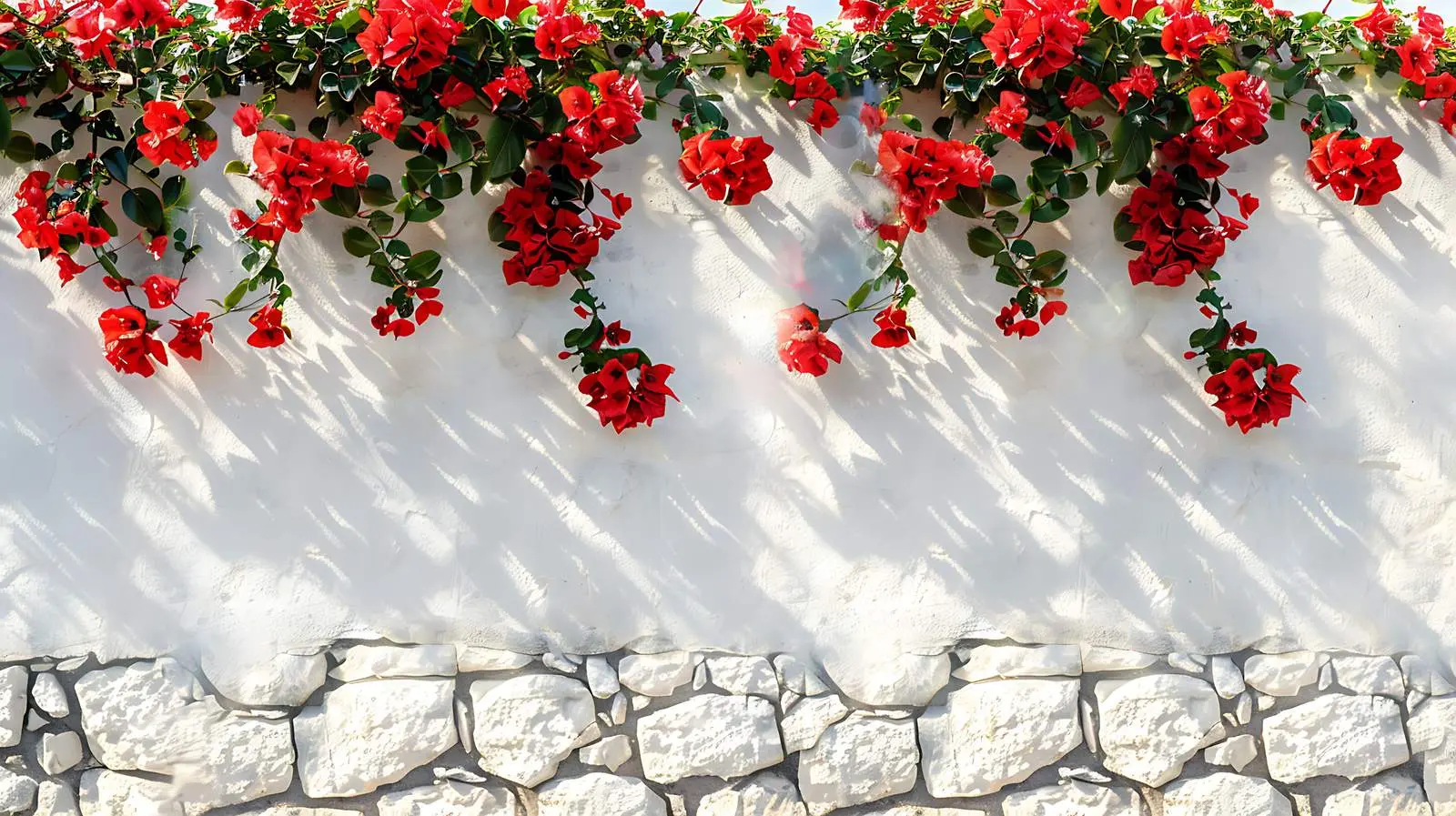 Red Flowers Against White Stone Wall Aesthetic — free download from Dotvec