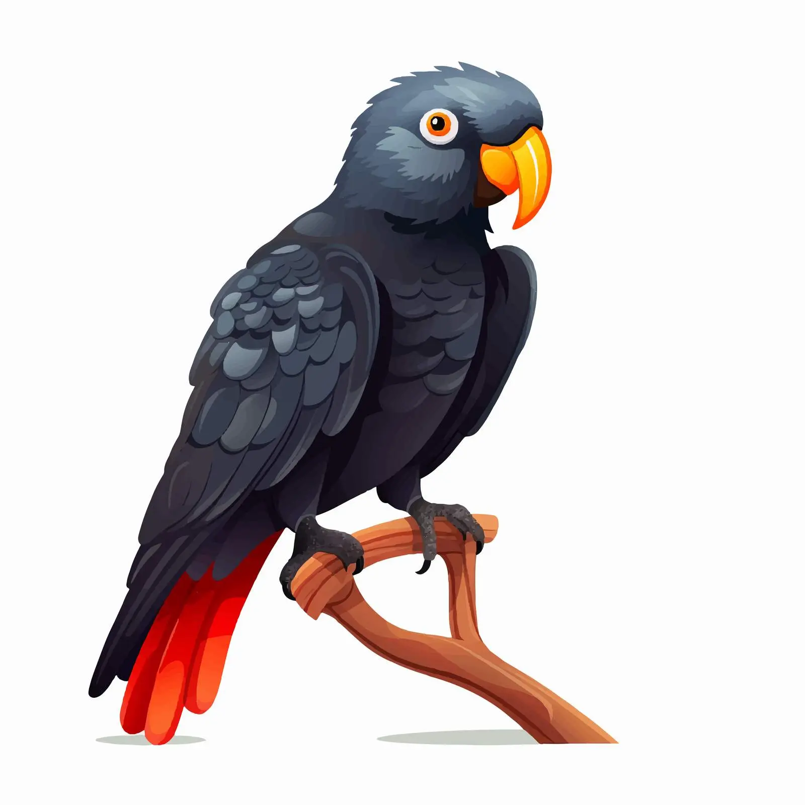 Red-tailed Banksian Black Cockatoo Vector Art — free download from Dotvec