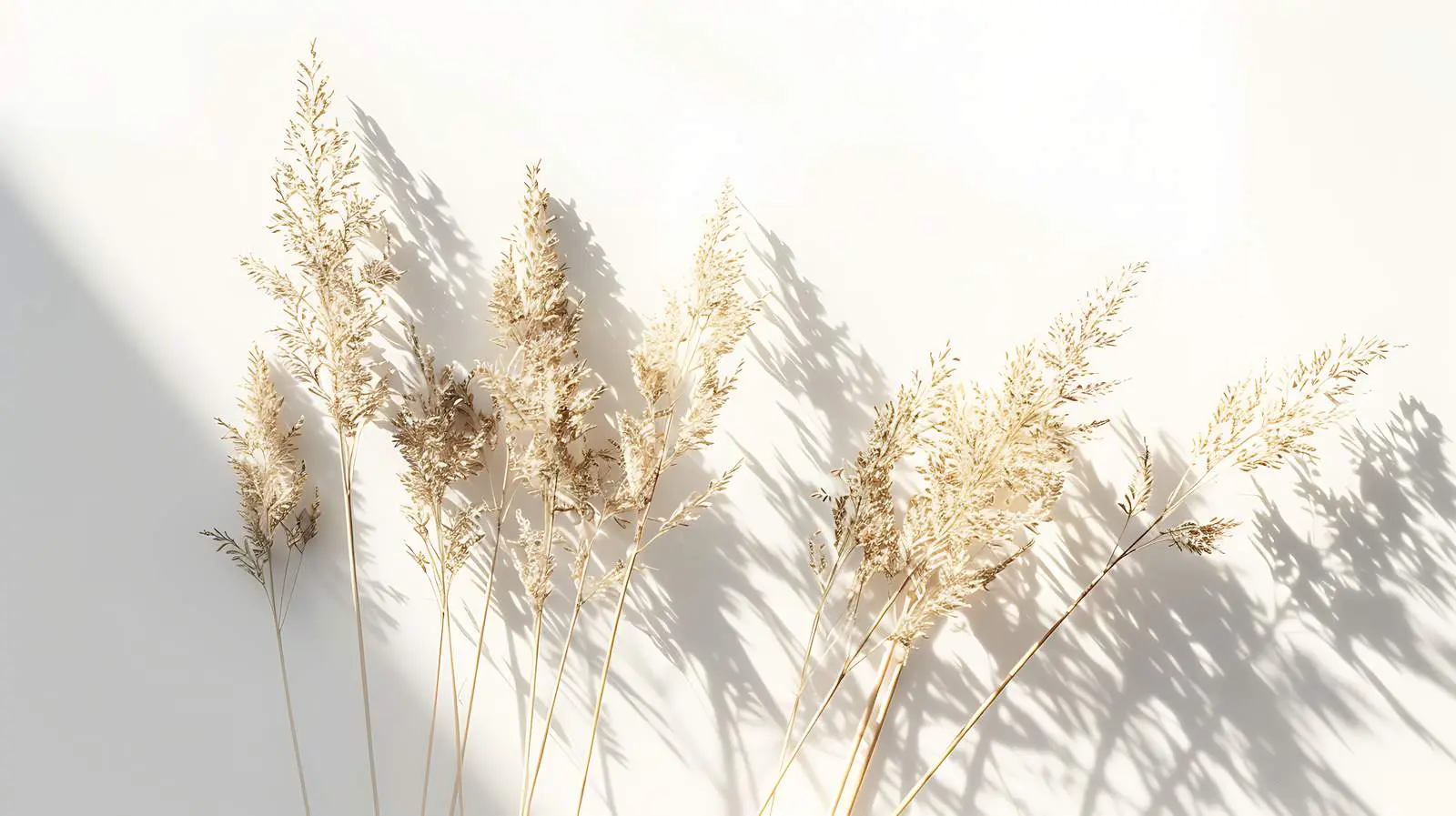 Elegant Sunlit Foliage Bouquet with Shadows — free download from Dotvec