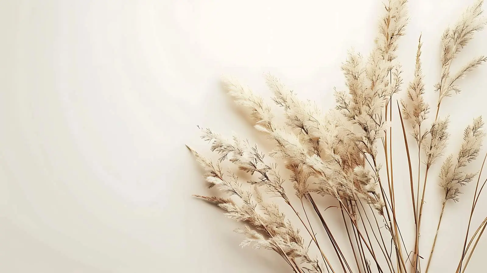 Reeds and Foliage Bouquet on Beige Background — free download from Dotvec
