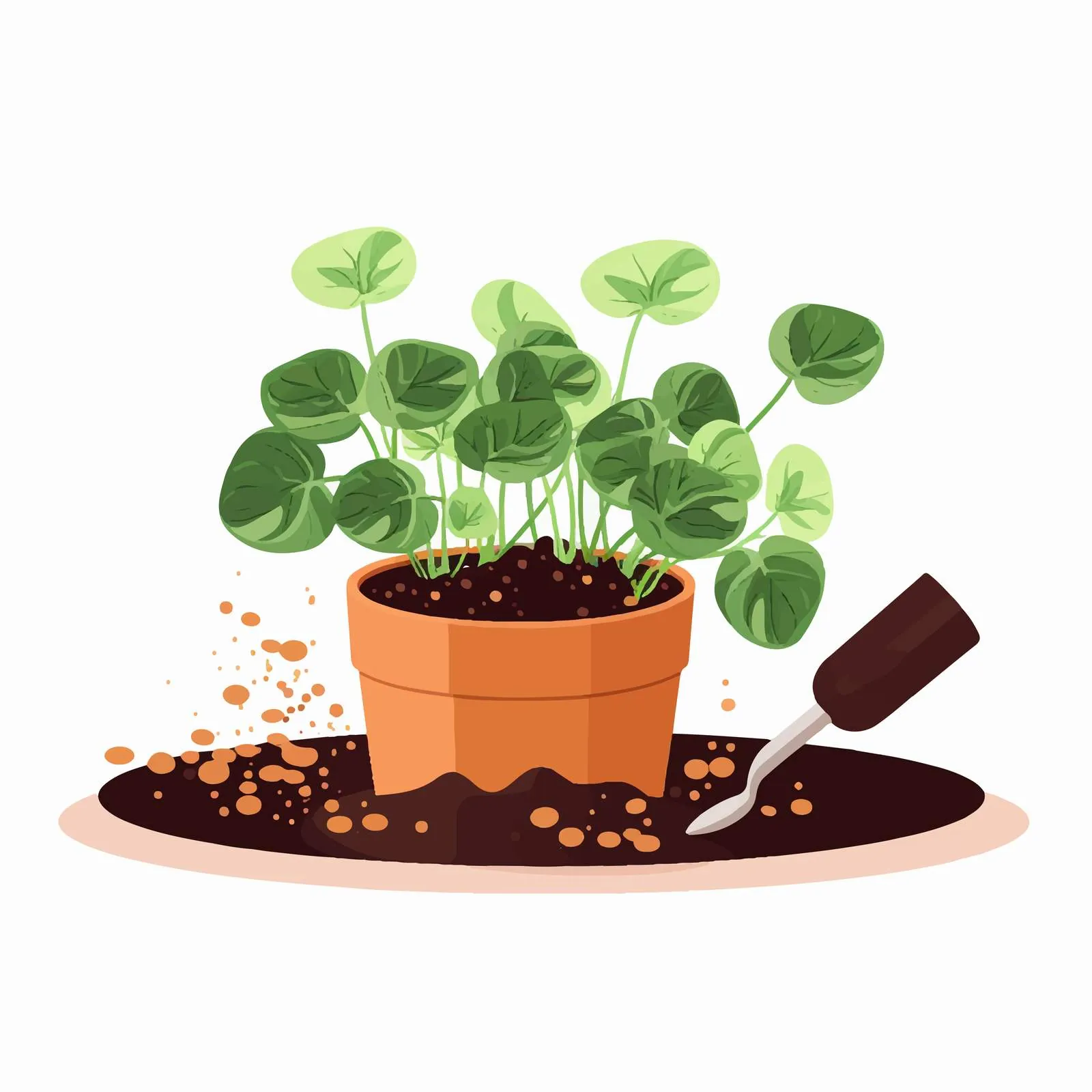 Replanting Pilea Peperomioides in Pot — free download from Dotvec