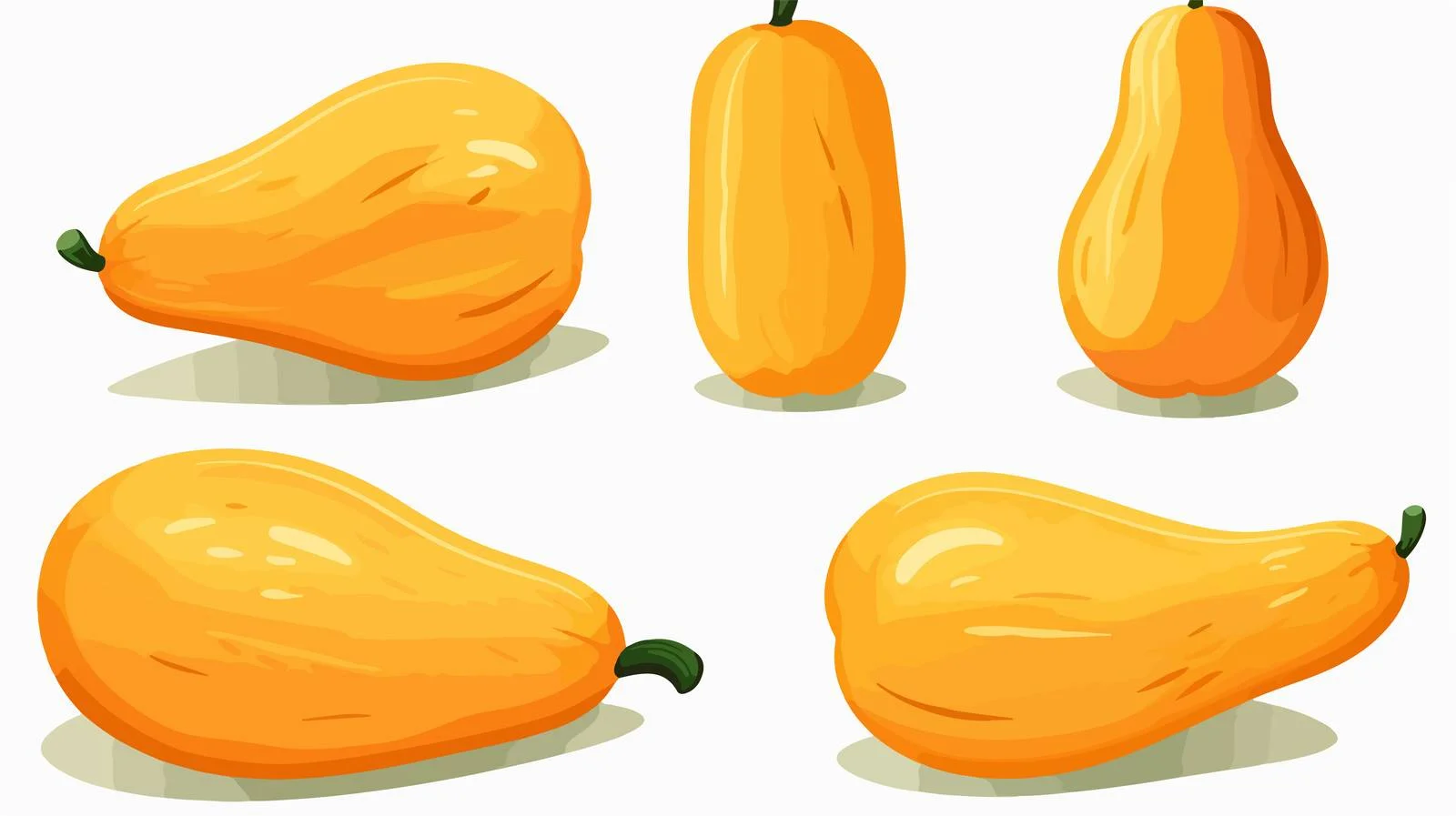 Retro Cartoon Butternut Squash Vector Illustration — free download from Dotvec