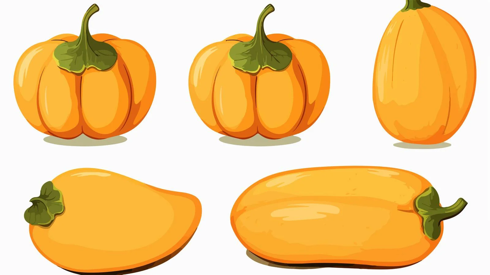 Retro Cartoon Butternut Squash Vector Illustration — free download from Dotvec