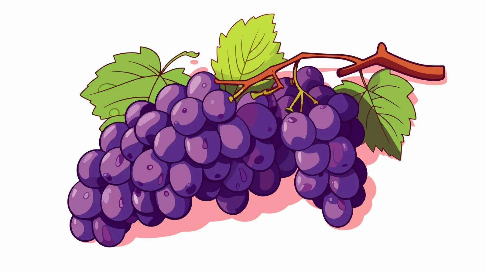 Vintage Cartoon Grapes Vector Illustration — free download from Dotvec