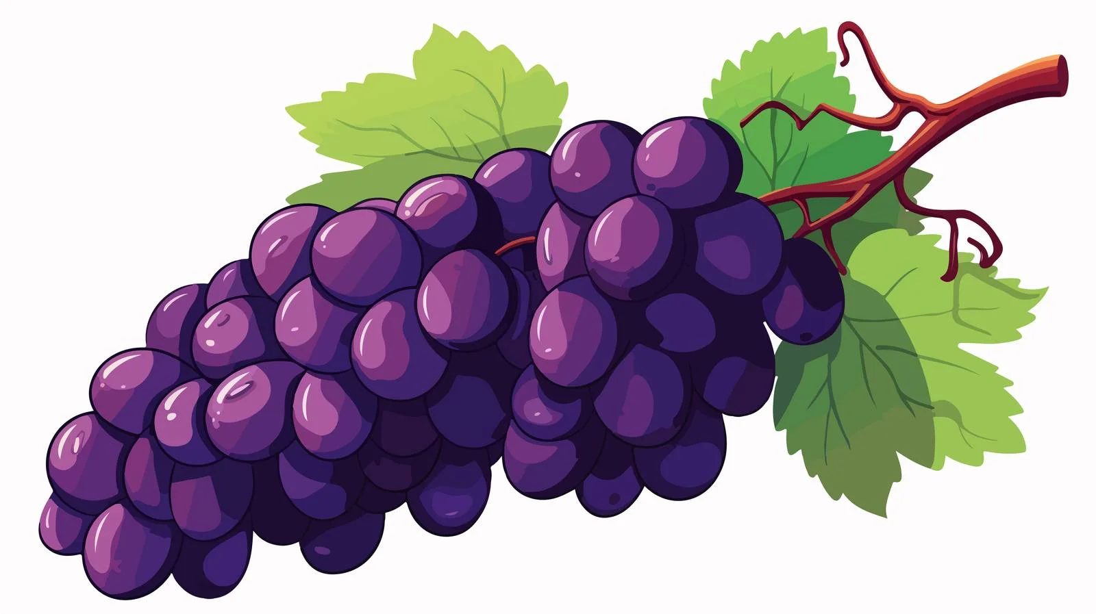 Vintage Cartoon Grapes Vector Illustration — free download from Dotvec