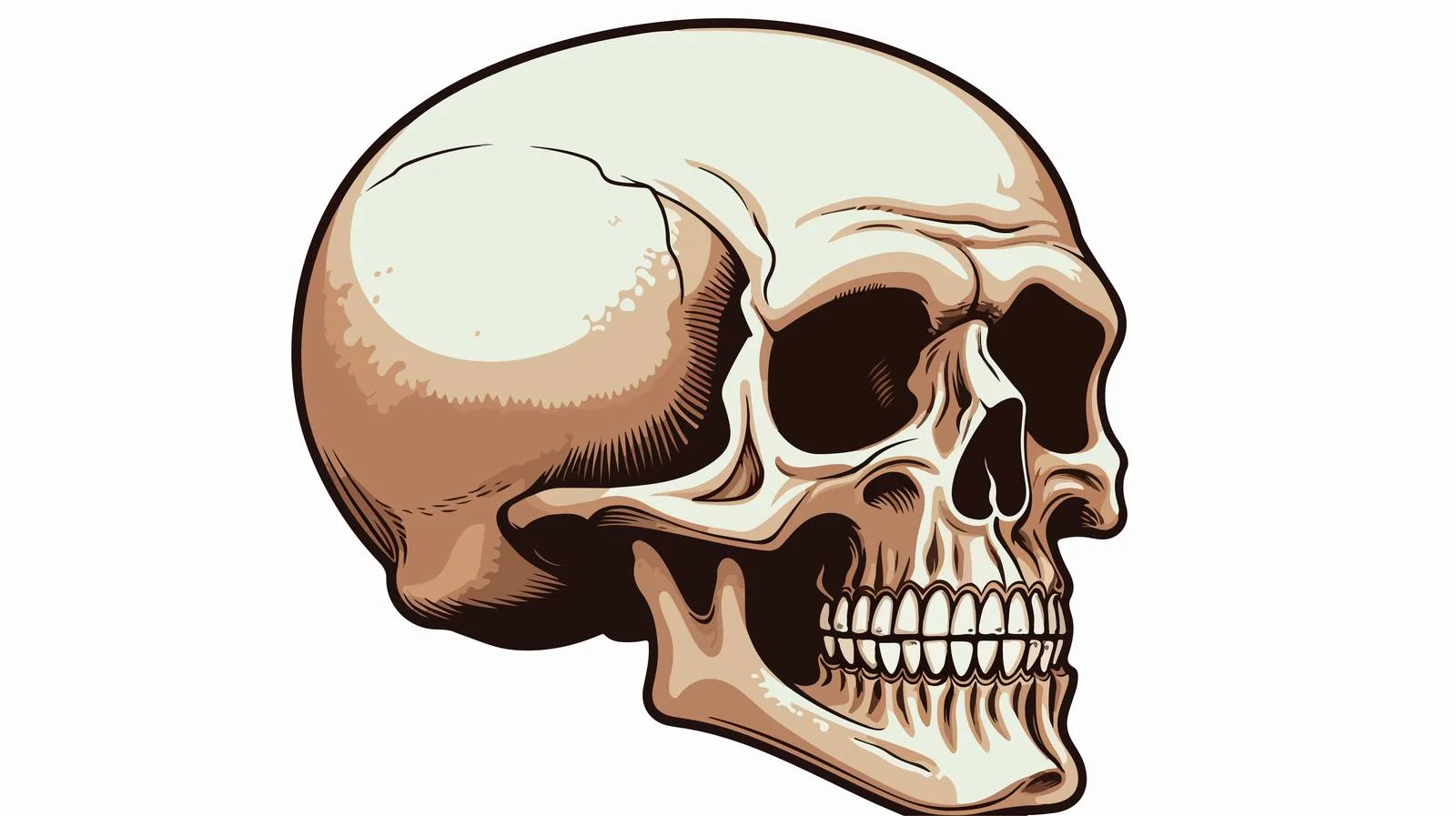 Vintage Cartoon Skull with Speech Bubble — free download from Dotvec