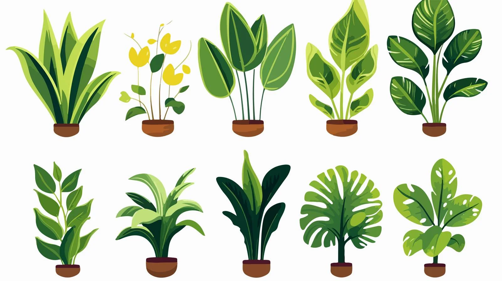 Vintage Botanical Plants Illustration — free download from Dotvec