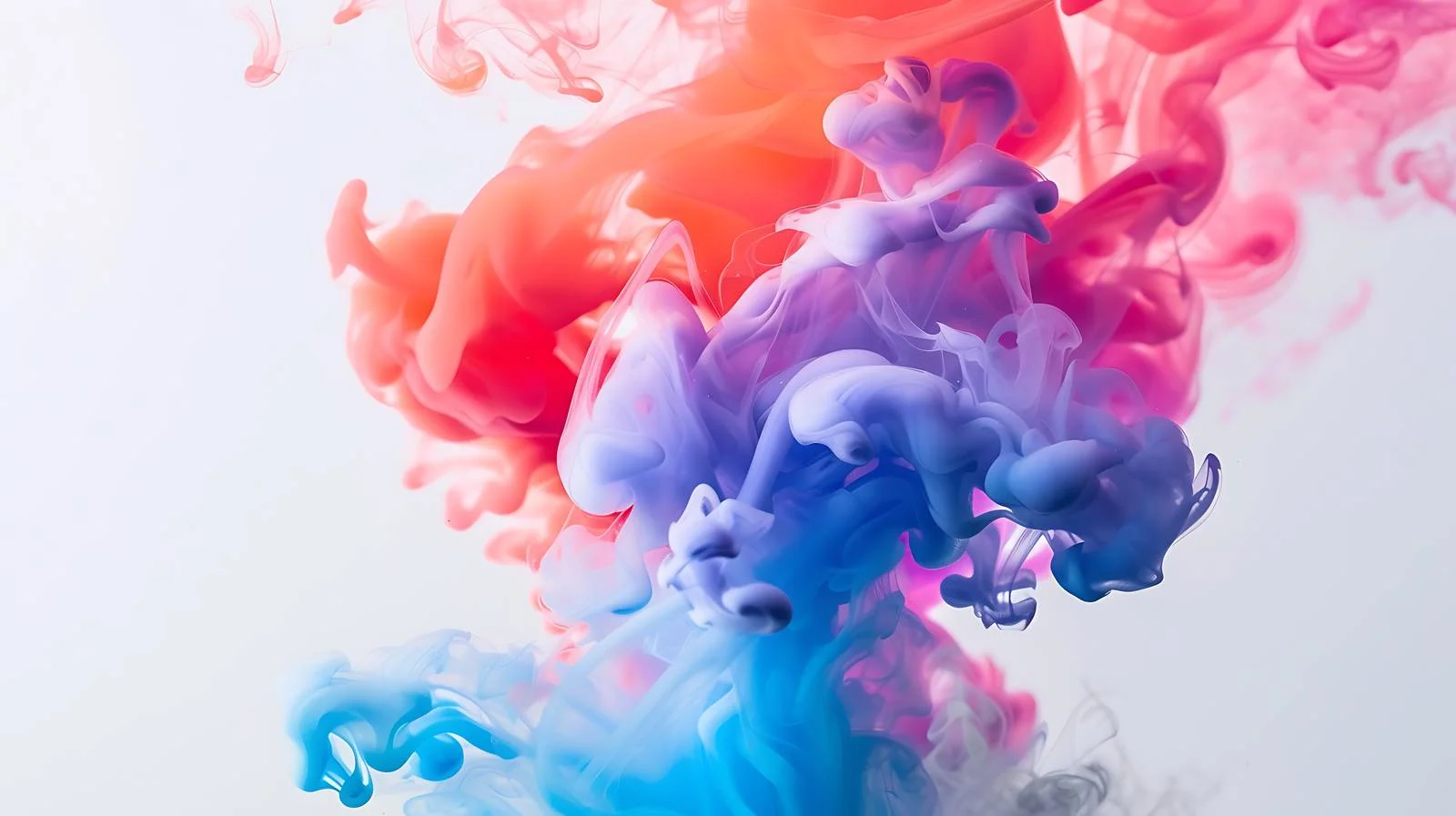 Adobe Stocks Homepage White Background – free stocks image from Dotvec