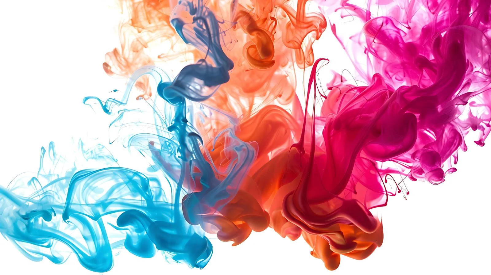 Adobe Stocks Homepage Isolated White Background — free download from Dotvec