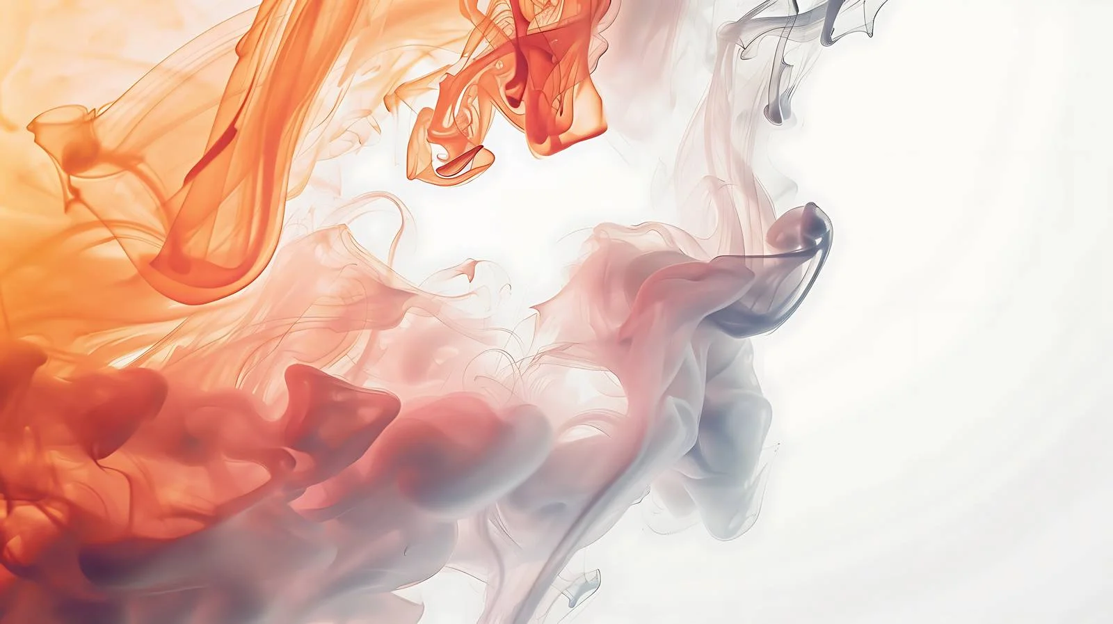 Adobe Stocks Homepage Isolated White Background — free download from Dotvec