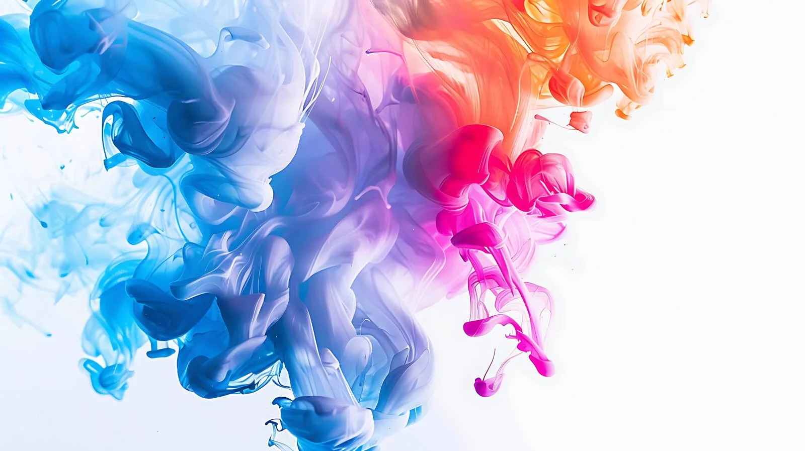 Adobe Stocks Homepage Isolated Image — free download from Dotvec