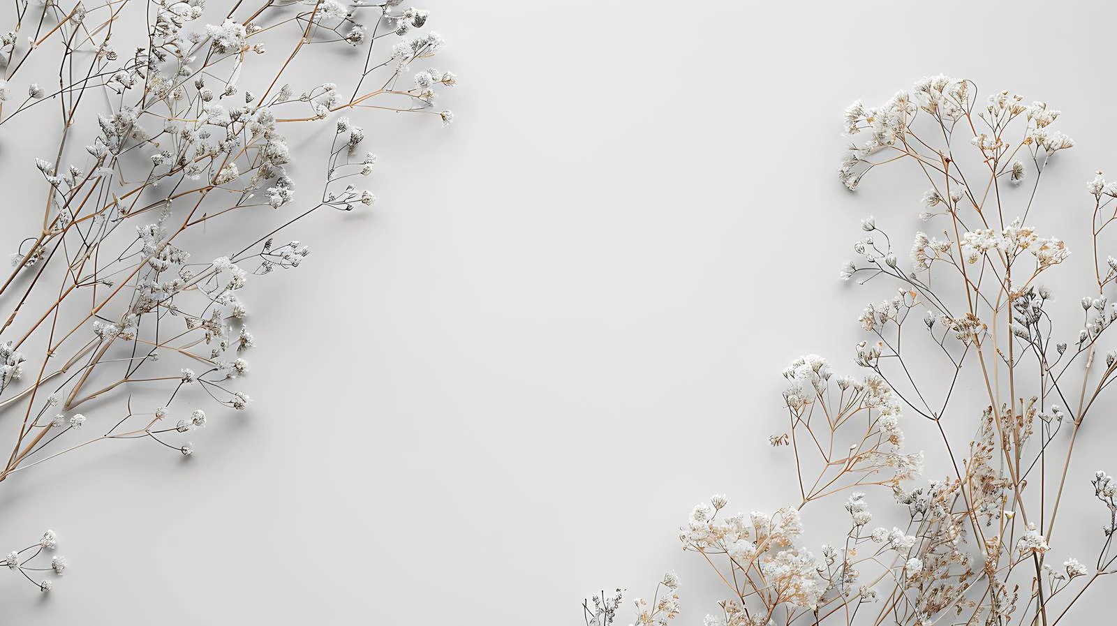 Adobe Stock Homepage Isolated Image – free stocks image from Dotvec