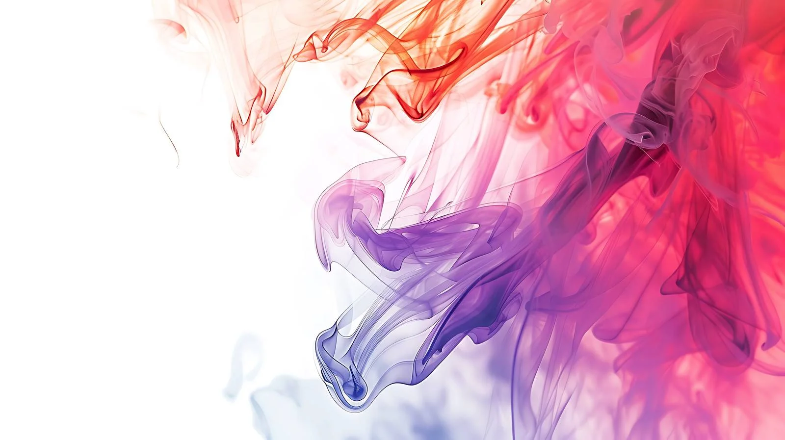 White Background Adobe Stocks Homepage — free download from Dotvec