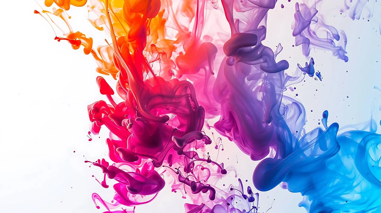 Adobe Stock Homepage Isolation on White — free download from Dotvec