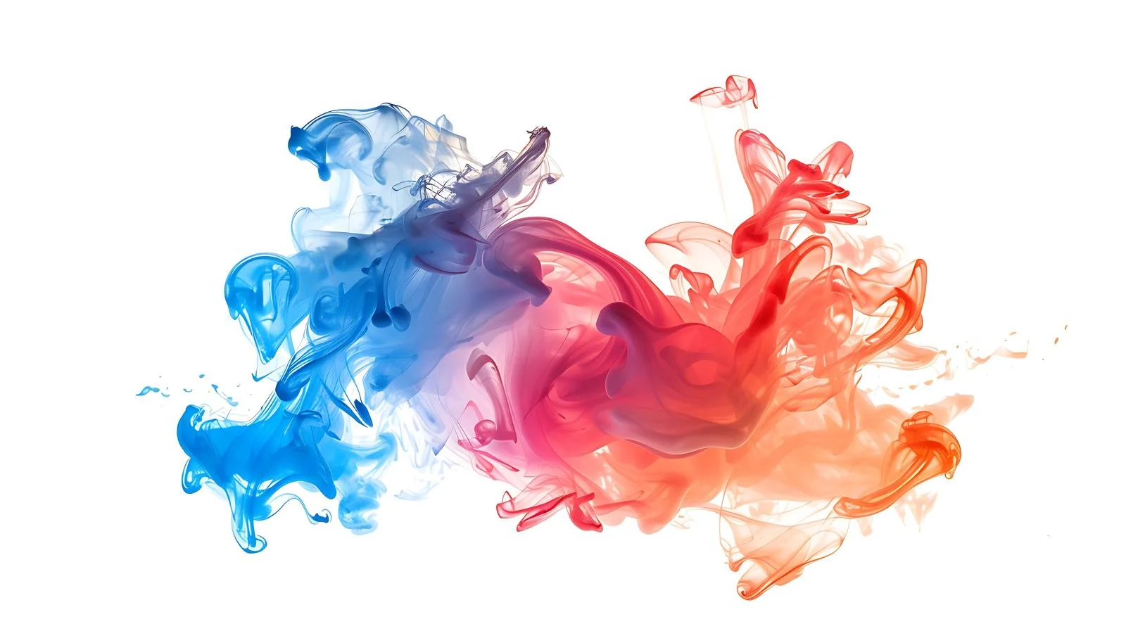 Navigate Adobe Stocks homepage against white backdrop – free stocks image from Dotvec