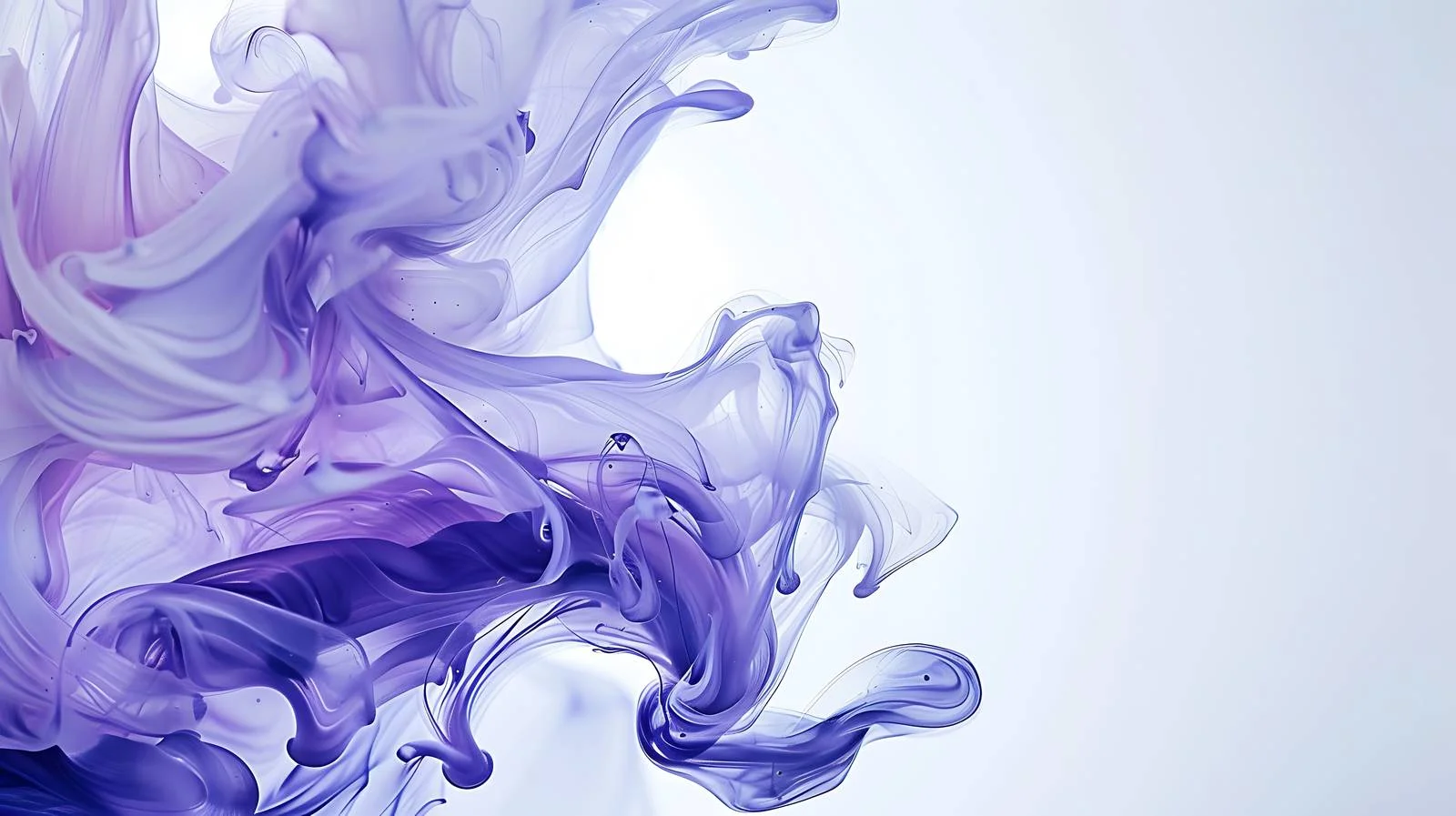 Adobe Stocks Homepage White Background Isolated — free download from Dotvec