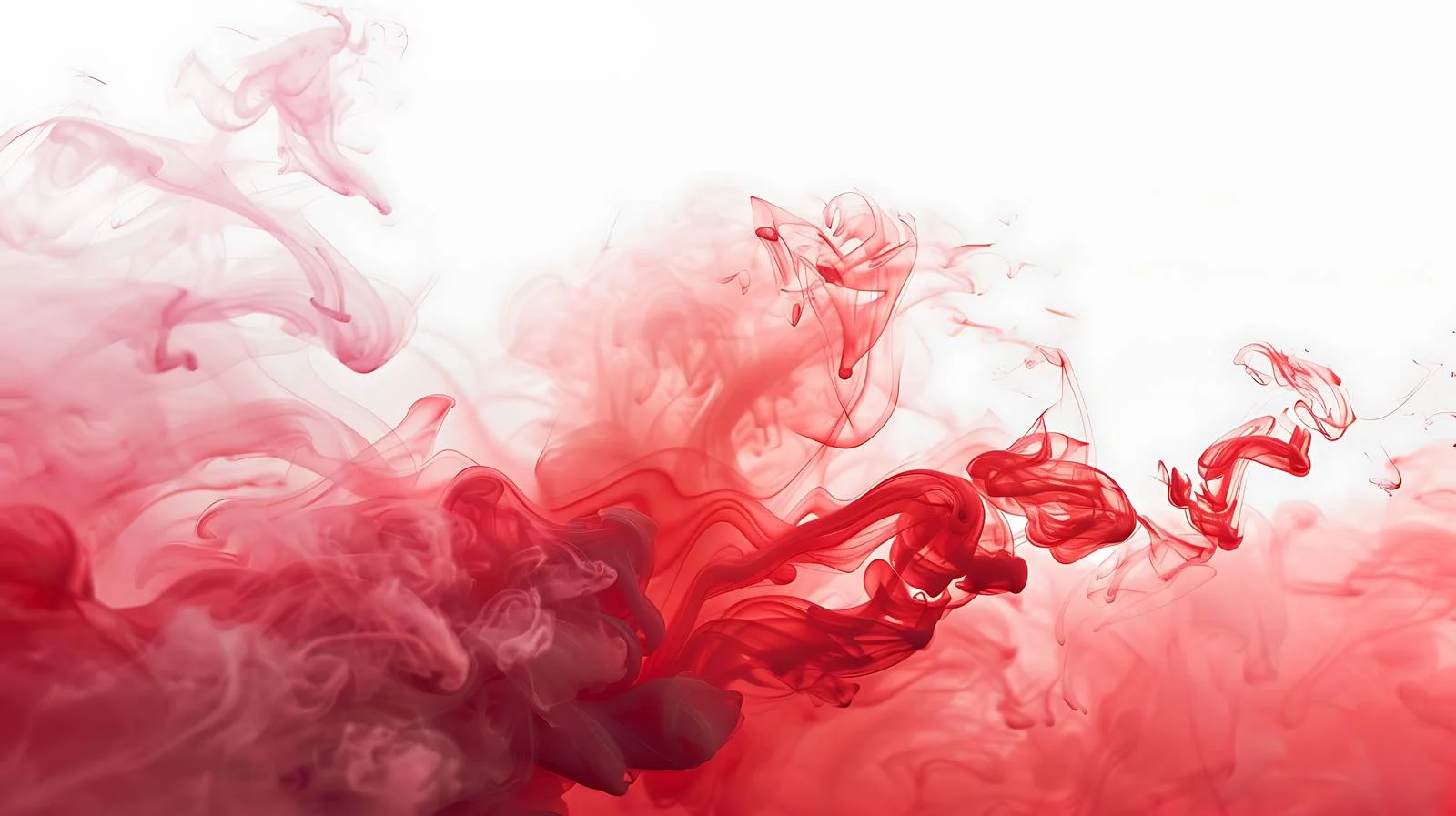 Adobe Stocks Homepage Button on White Background – free stocks image from Dotvec