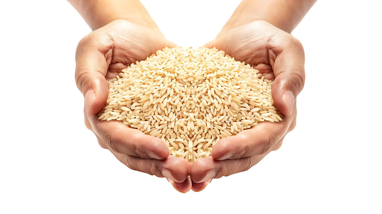 Rice Husks: Harvested and Handled — free download from Dotvec