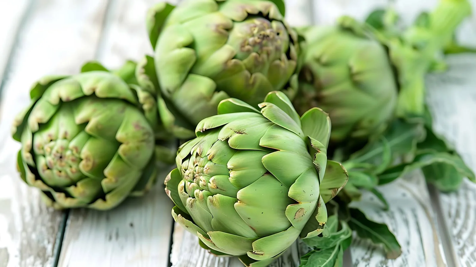 Fresh Artichokes on White Wooden Table — free download from Dotvec