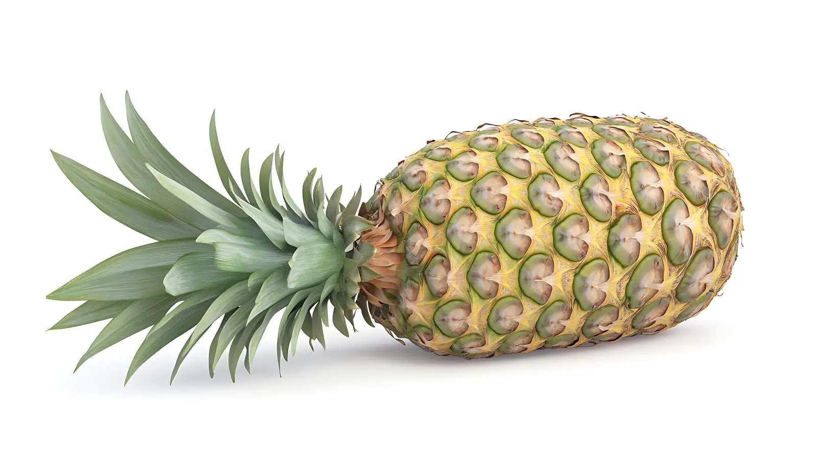 Ripe Pineapple with Leaf — free download from Dotvec