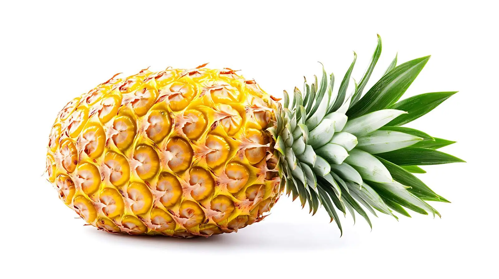 Ripe Pineapple with Leaf — free download from Dotvec