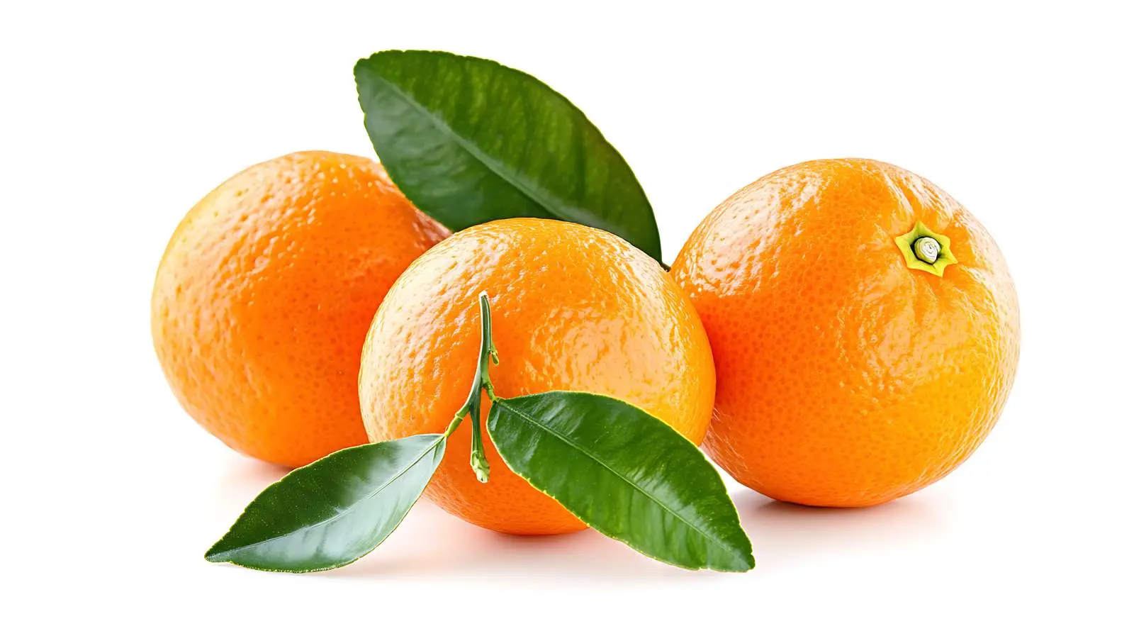 Ripe Tangerine Fruit Isolated Image — free download from Dotvec