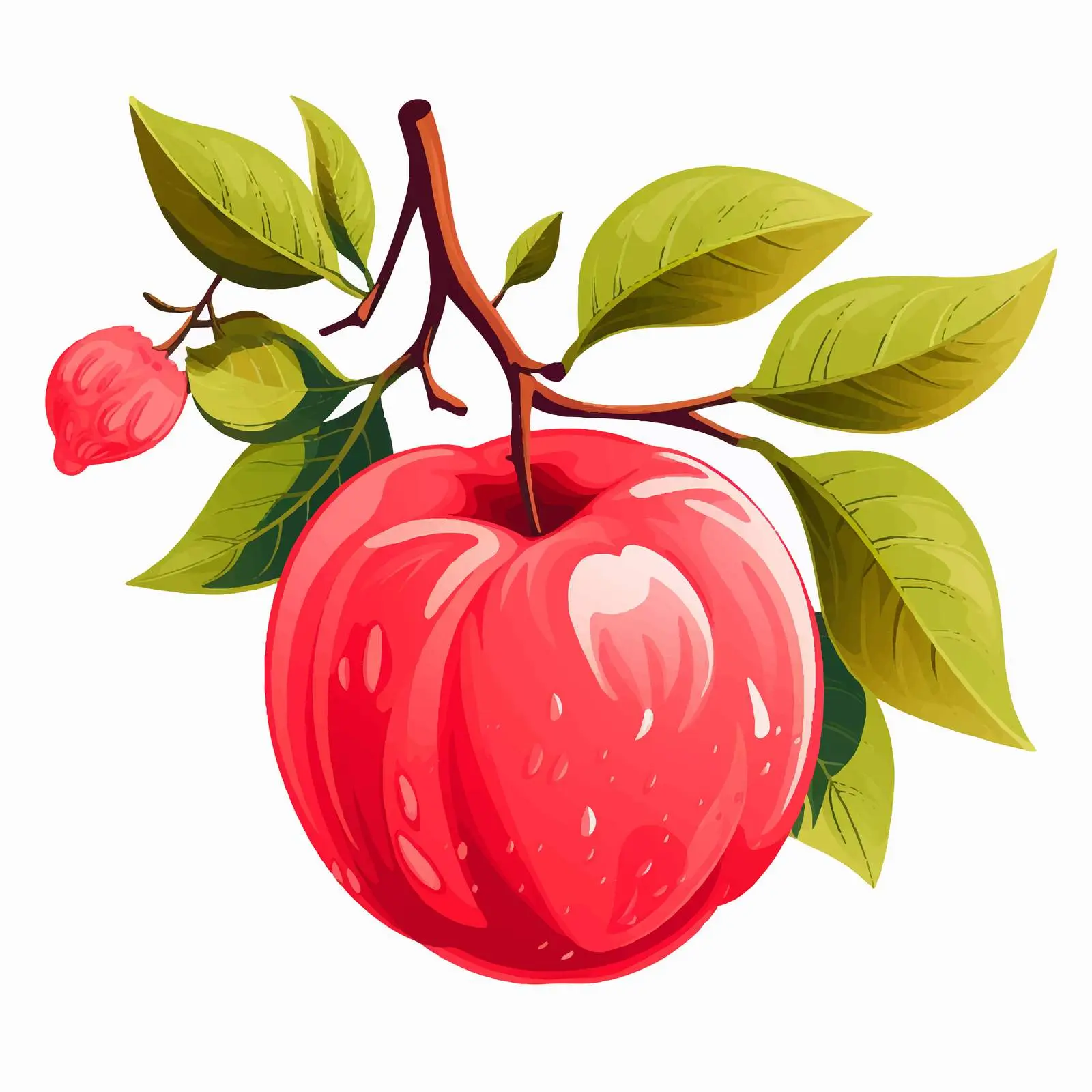 Rose Apple Vector Illustration on White Background — free download from Dotvec