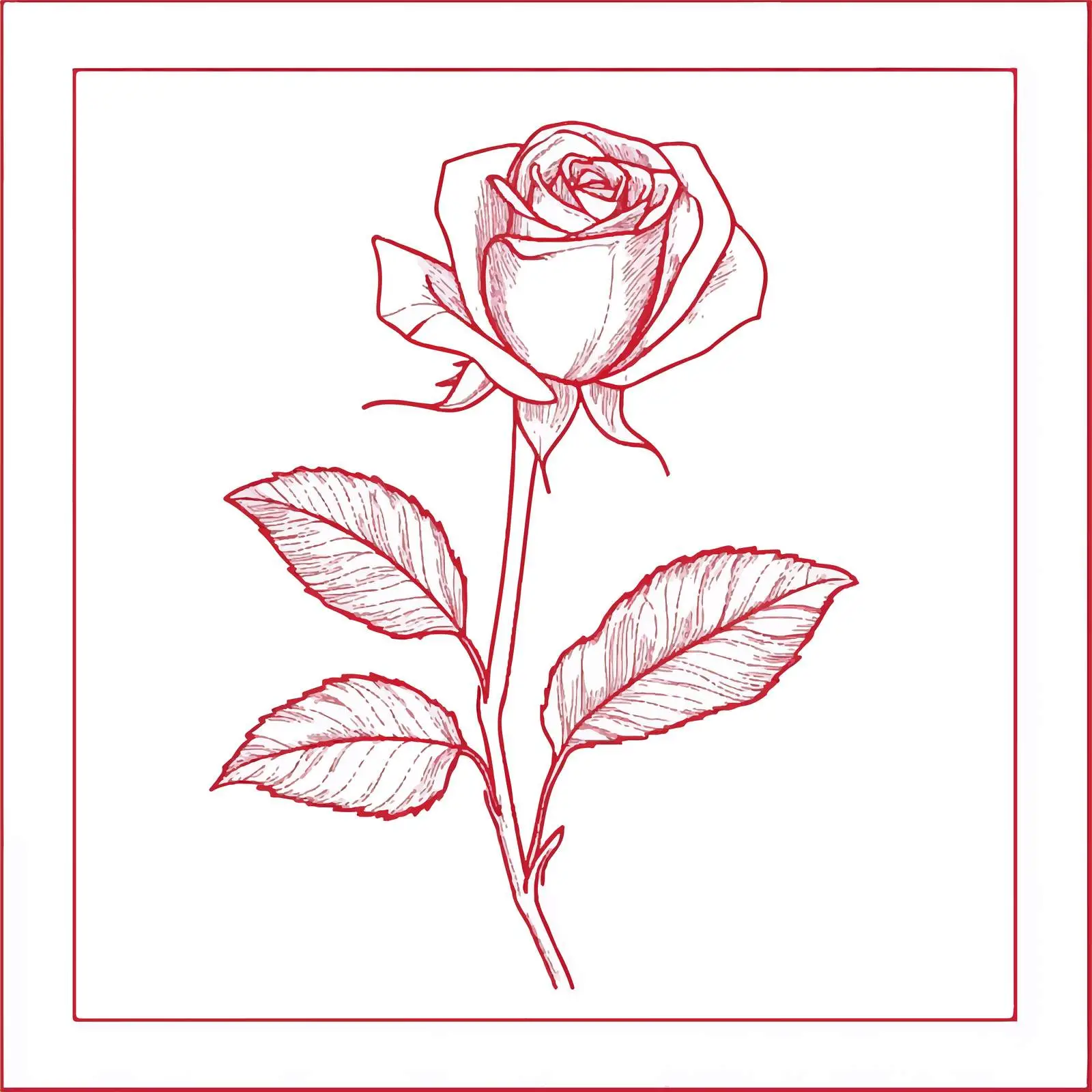 Rose Flower Outline Icon Vector Design — free download from Dotvec