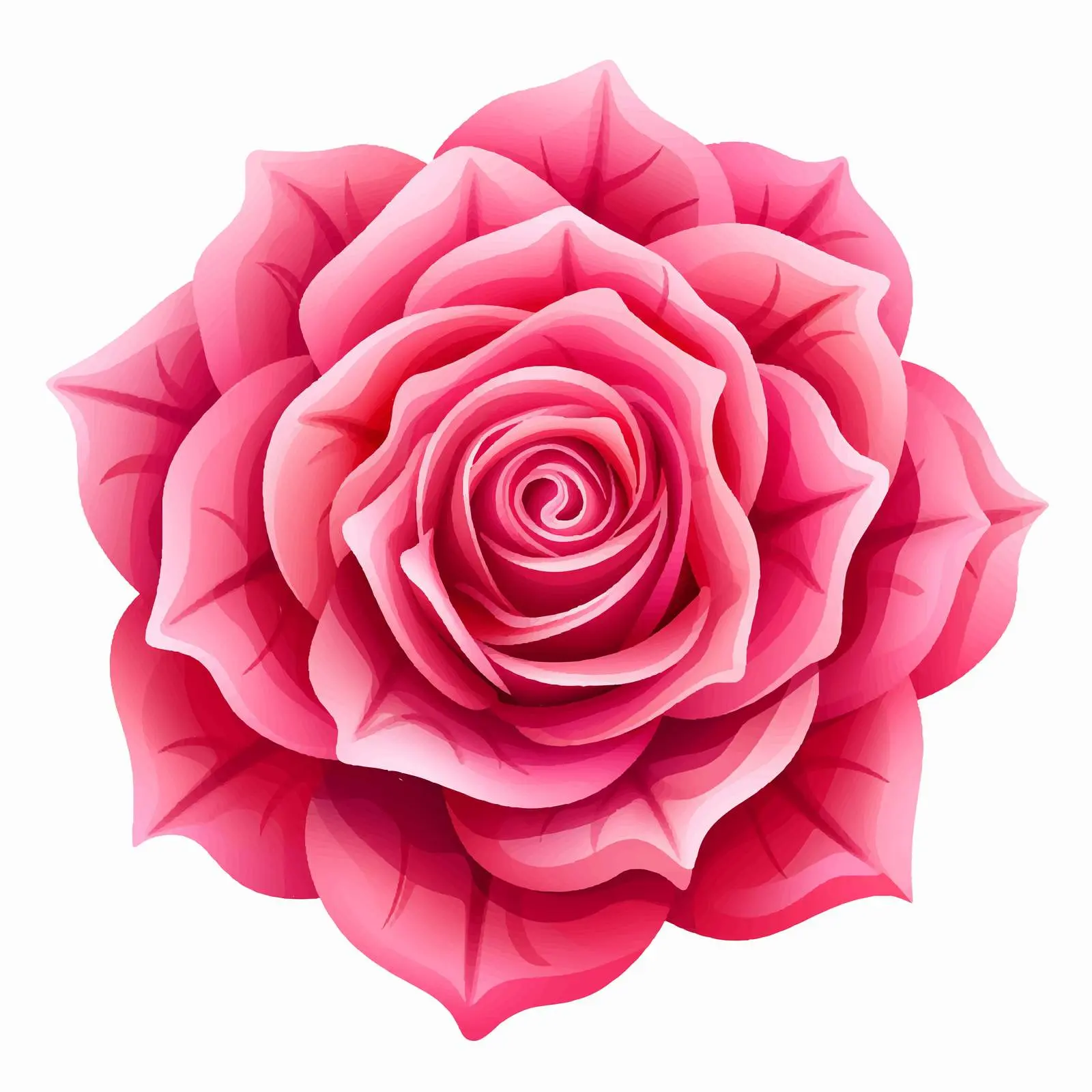 Top View Rose Vector Illustration on White Background — free download from Dotvec