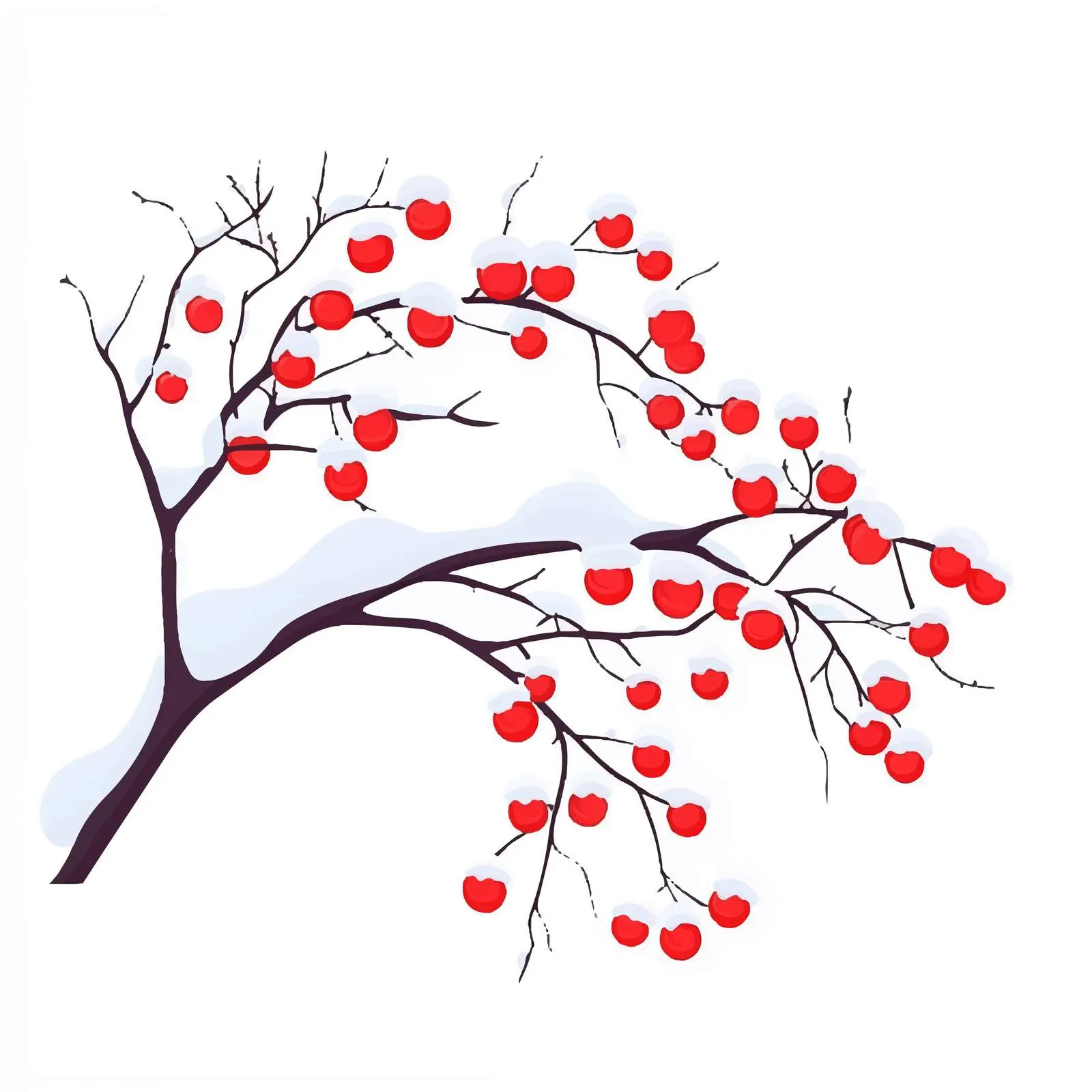 Rowan Branch in Snow - Vector Art — free download from Dotvec