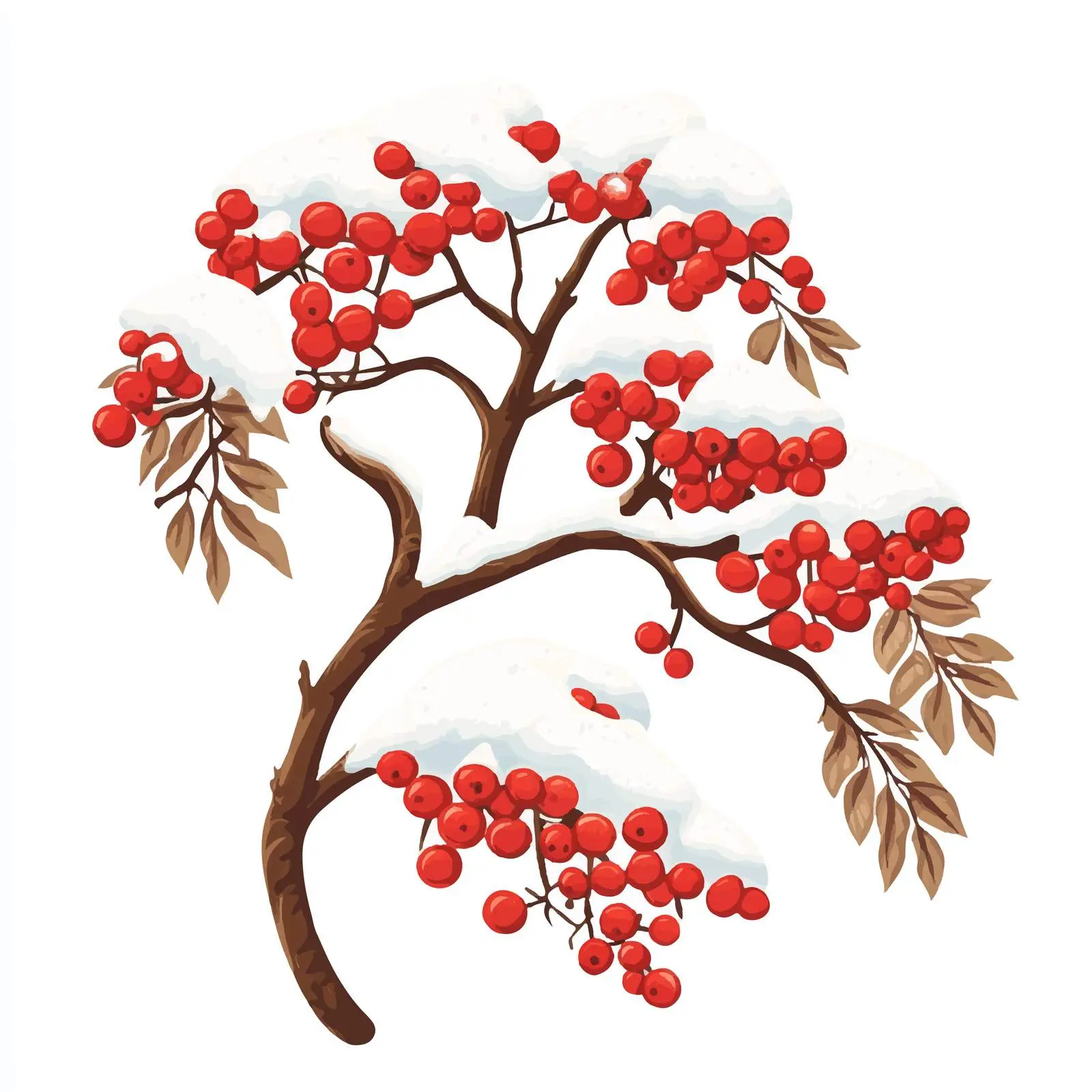Rowan Branch in Snowy Landscape — free download from Dotvec