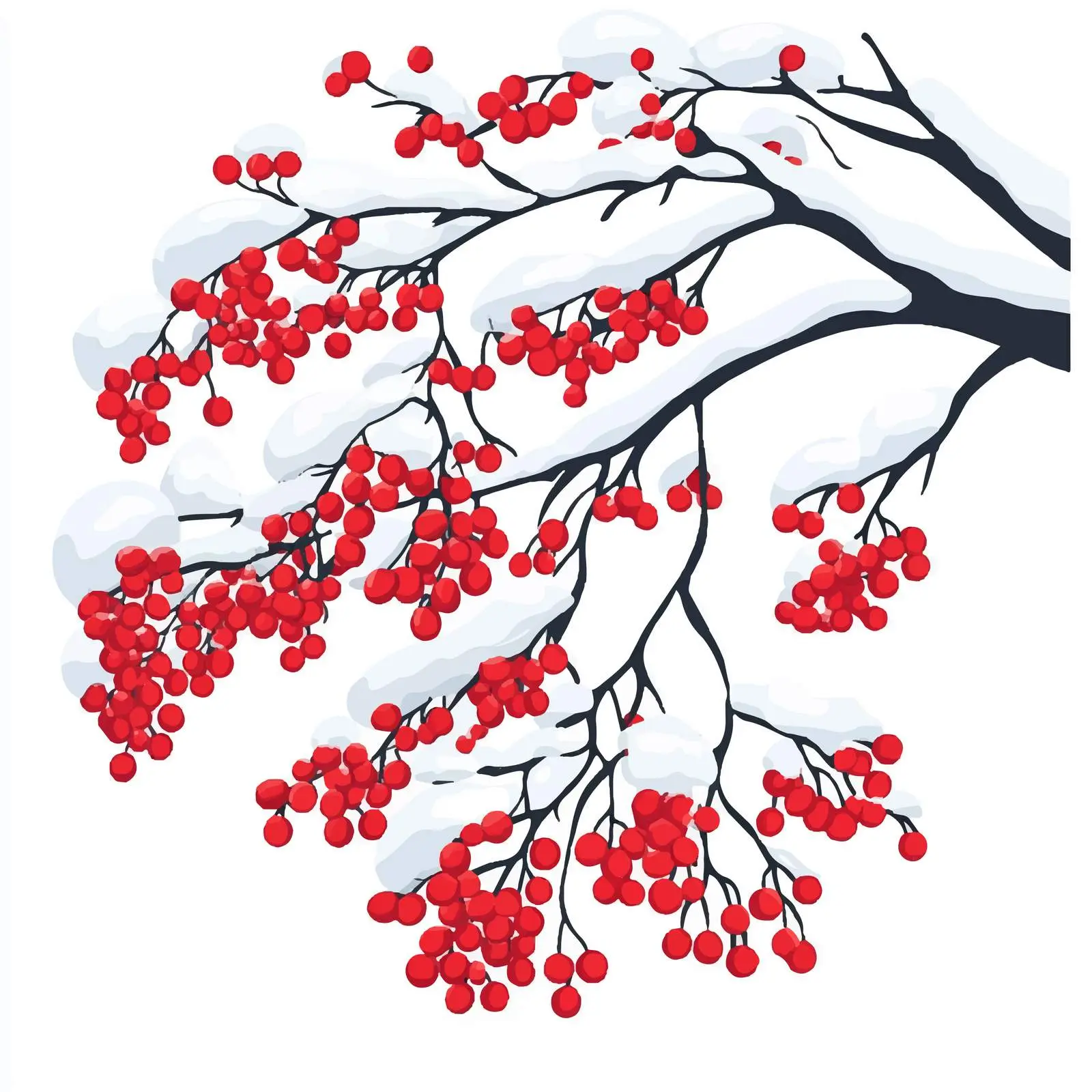 Rowan Branch in Winter Snow Scene — free download from Dotvec
