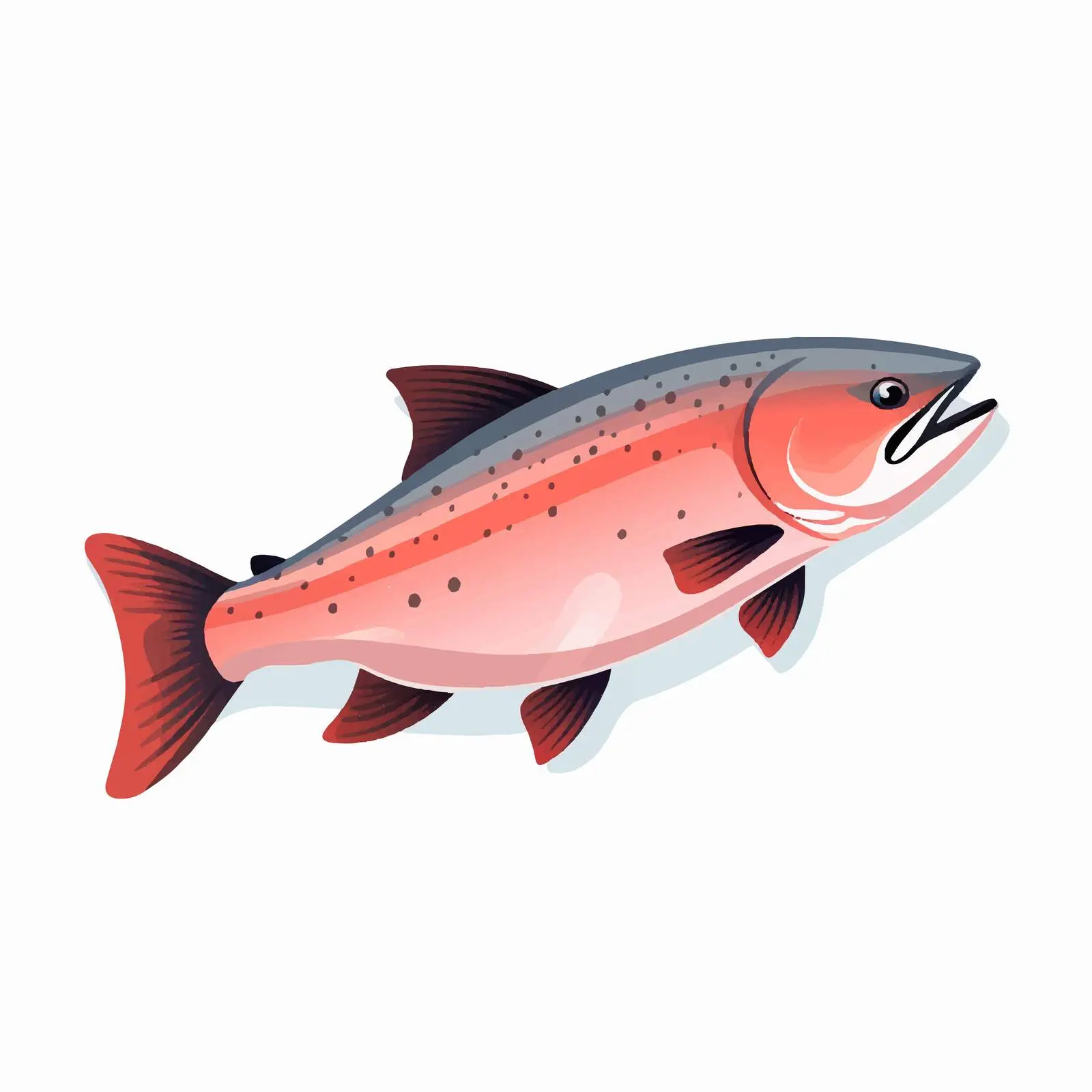 Salmon Fish Vector Illustration on White Background — free download from Dotvec