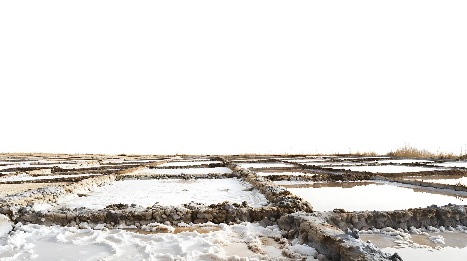 Salt Field Scenery on White Background — free download from Dotvec