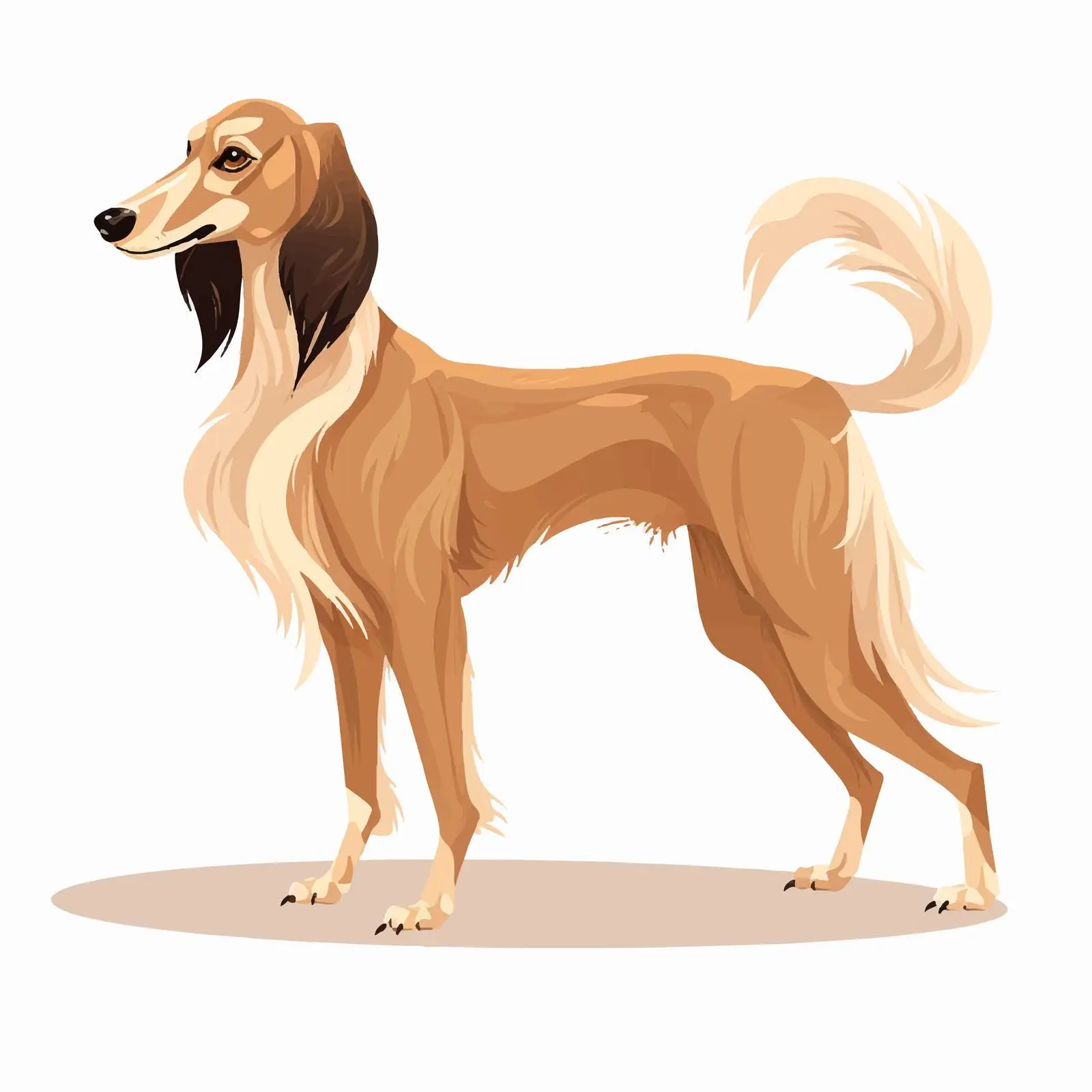 Beautiful Saluki Gazehound Hunting Dog Illustration — free download from Dotvec