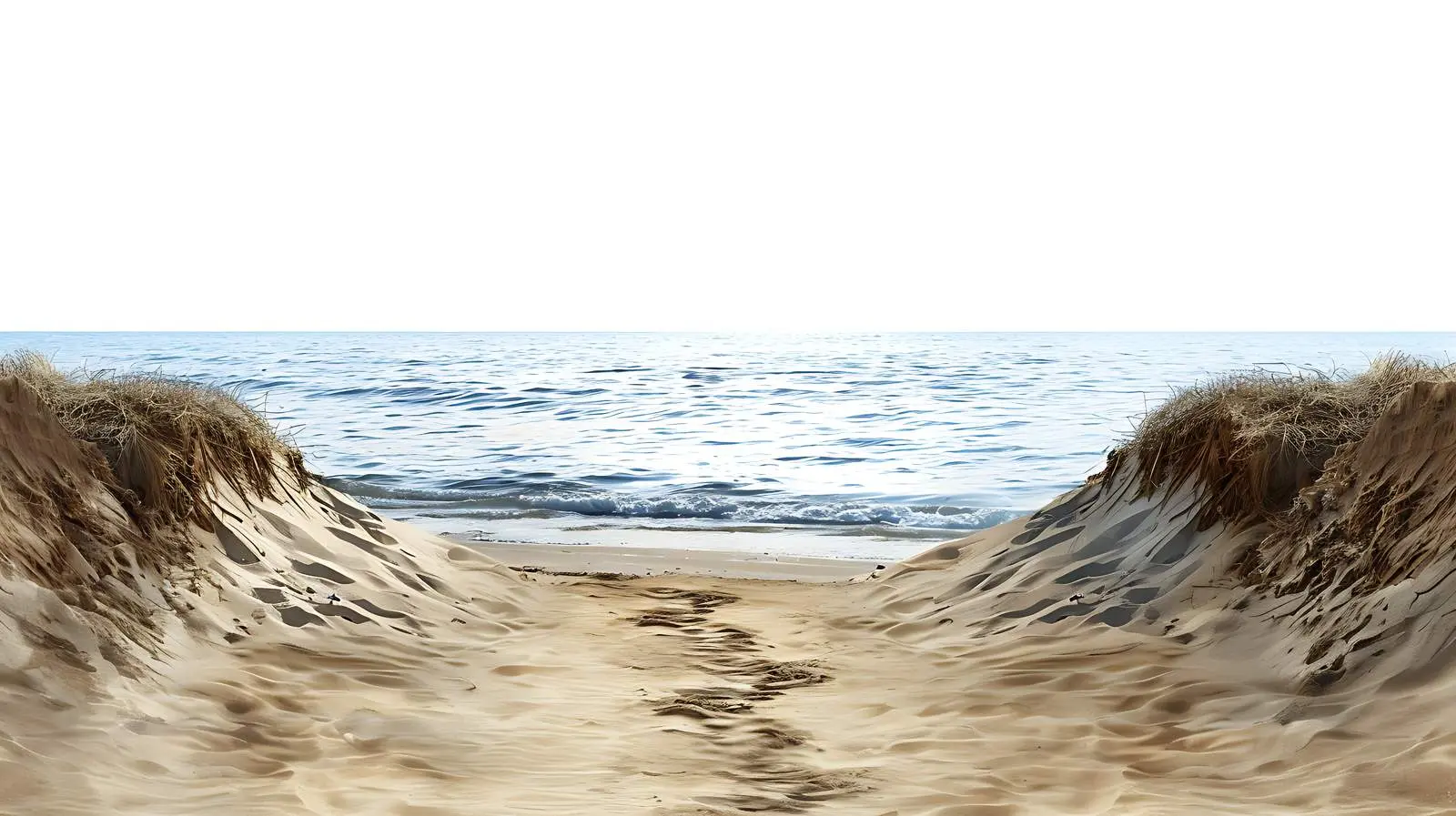 Serene Beach Path Leading to Tranquil Sea — free download from Dotvec