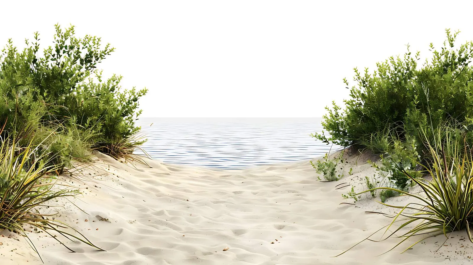 Secluded Beach Path to Calm Sea View — free download from Dotvec