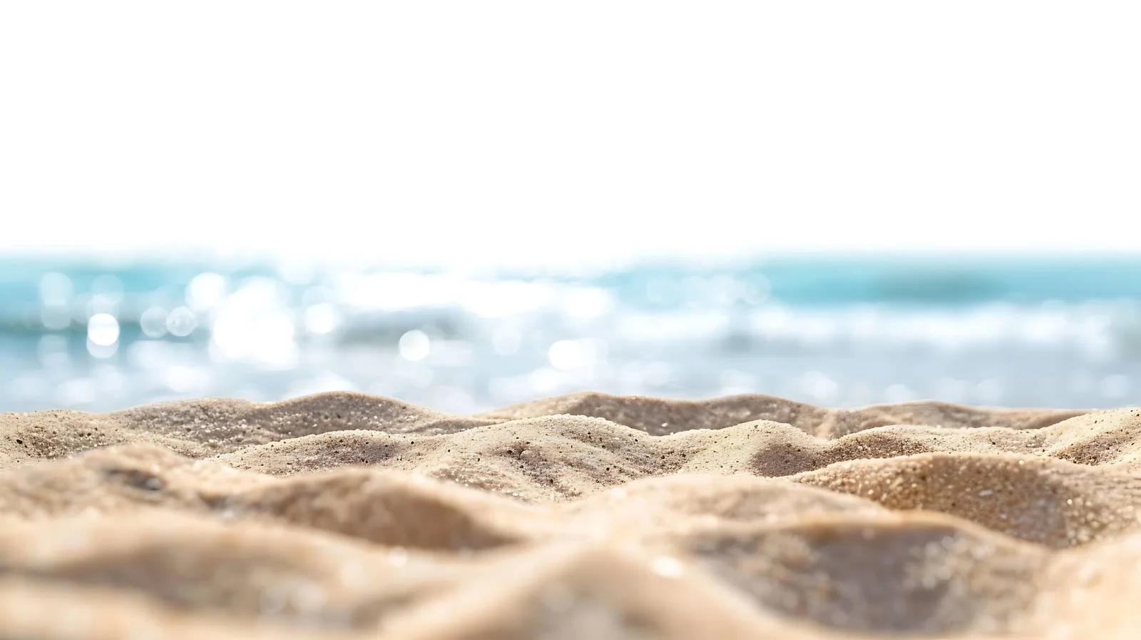 Tranquil Sandy Beach Scene — free download from Dotvec