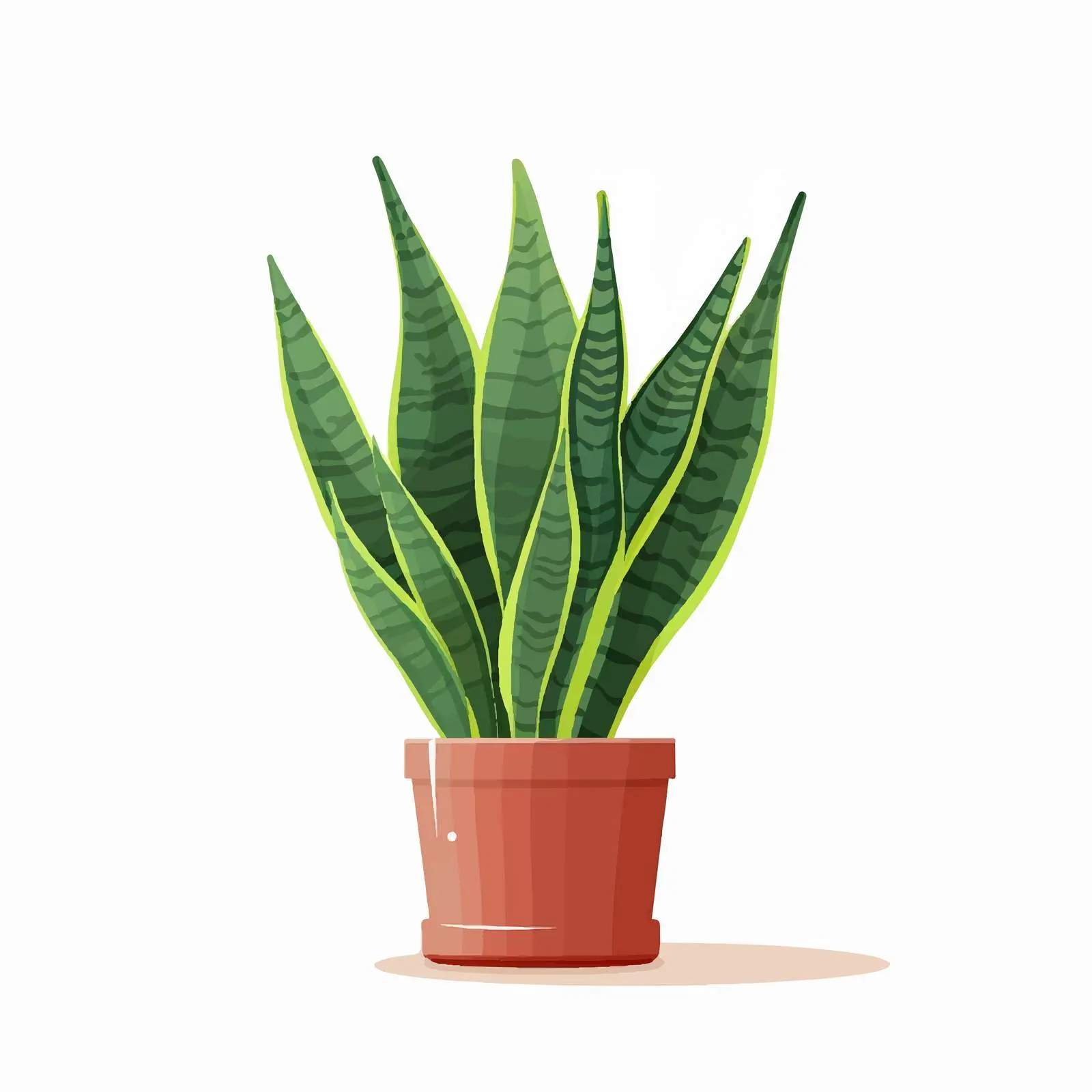 Sansevieria Green Snake Plant in Decorative Pot — free download from Dotvec